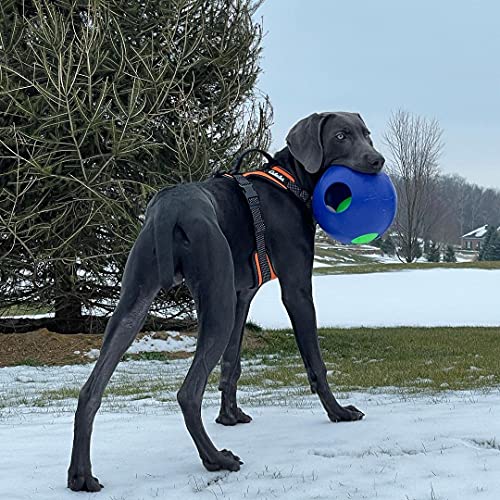 Teaser Ball Interactive Dog Toy (Blue / Large (8 in))