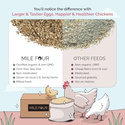 Organic Chicken Feed (Mash / 2 Pound (Pack of 1))