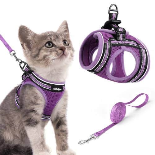 Cat Harness and Leash Set (S / Purple-Light Purple)