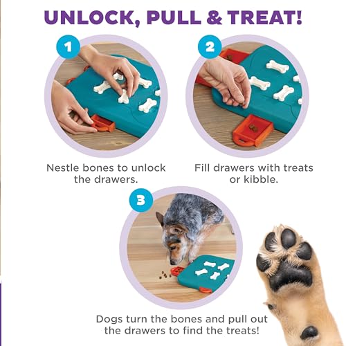 Nina Ottosson Dog Casino Dog Toy Treat Puzzle