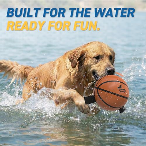 Dog Basketball Toys (Basketball / 6 Inch)