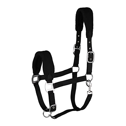 Kiel Horse Halter (Black / Cob)