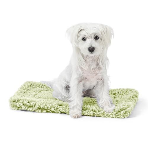 Stoutwool Indestructible Dog Bed (21.0"L x 12.0"W x 2"Th / Gleam)