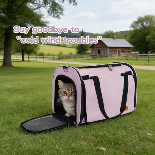 Cat Carrier Backpack (pink)
