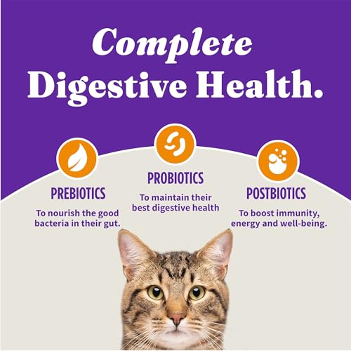 Holistic Indoor Dry Cat Food