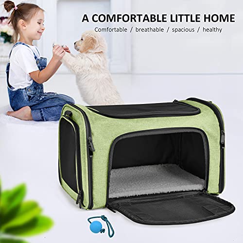 Large Cat Carriers Dog Carrier Pet Carrier for Large Cats Dogs Puppies up to 25Lbs (20.0"L x 13.0"W x 13.0"H / Green)