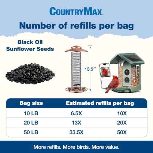 20LB Black Oil Sunflower Seeds for Birds (Black Oil Sunflower / 20 Pound (Pack of 1))