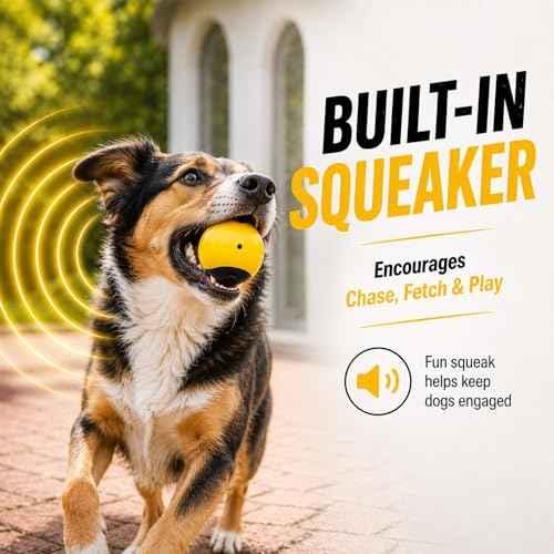 Squeaky Balls for Dogs (YellowBlack)