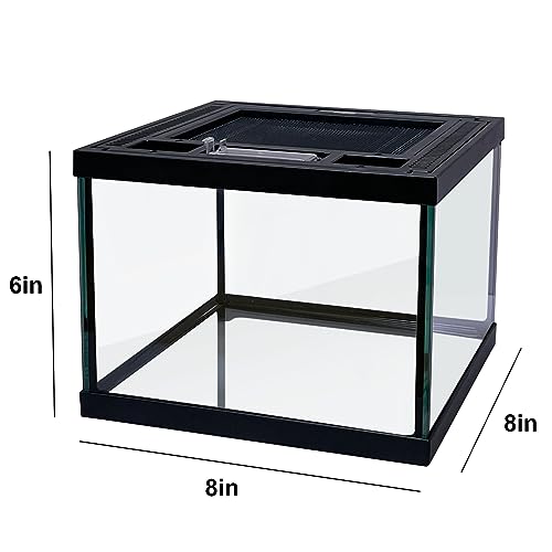 Mini Reptile Glass Terrarium Tank 8 * 8 * 6" Full View (8*8*6inch)