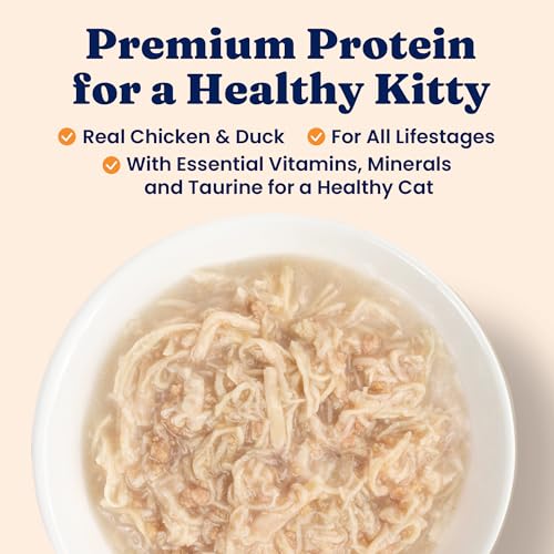 Wet Cat & Kitten Food (24 Pack)