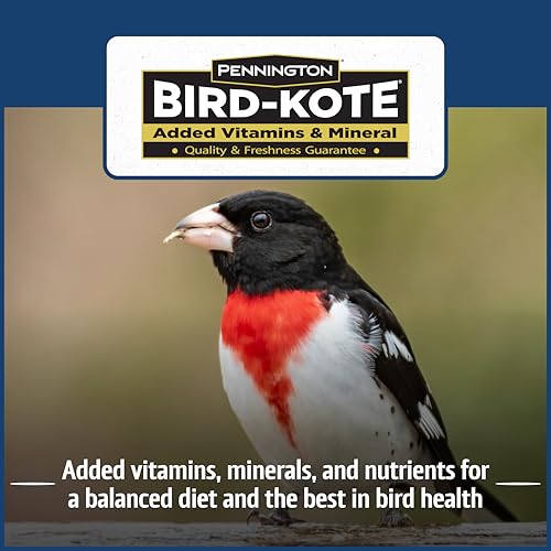 Classic Bird Seed Bird Food (10 pounds)