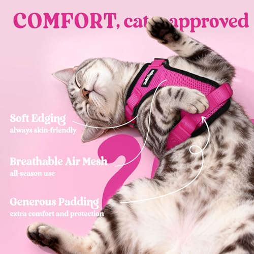 Cat Harness and Leash Set (Xs / Rose Red)