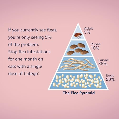 Flea and Tick Prevention for Cats (6-Month Supply)