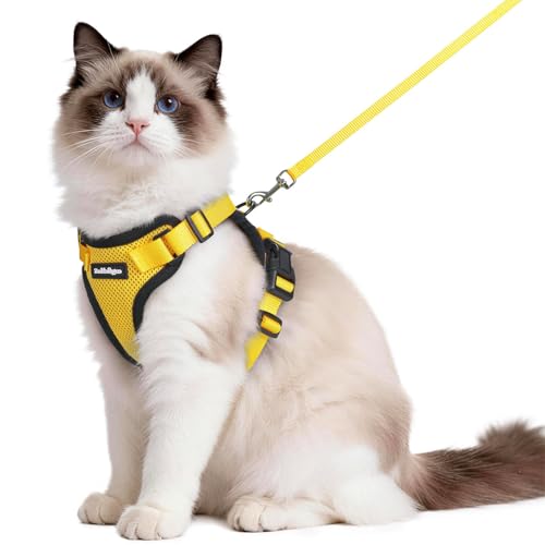 Cat Harness and Leash Set (M / Yellow)
