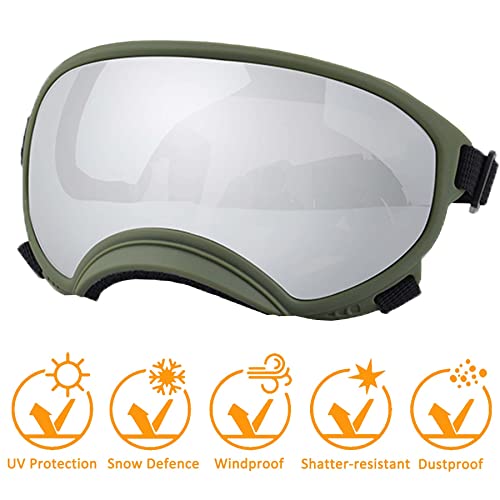 Large Dog Sunglasses