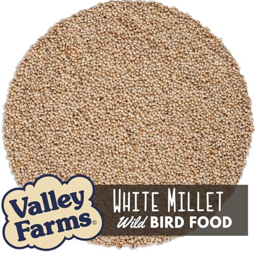 White Millet Wild Bird Seed (20 Pound (Pack of 1))
