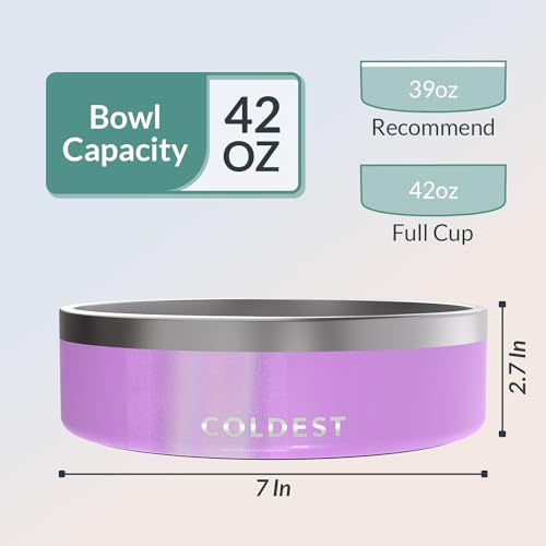 Coldest Dog Bowl (42 oz / Saturns Purple Glitter)