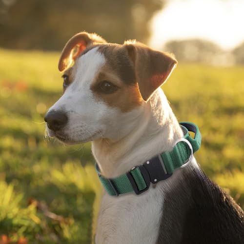 Tactical Dog Collar (Basic Green - Handle Style / M: Neck 14.5" to 18")