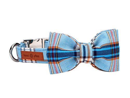 Boy Dog Collar with Bowtie (Blue Grid / Small (Pack of 1))