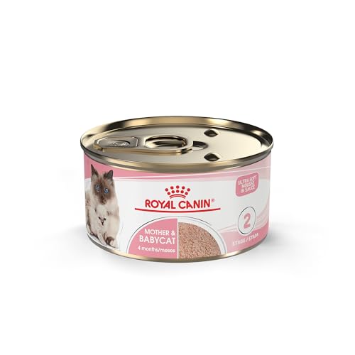 Feline Health Nutrition Mother & Babycat Queen Ultra Soft Mousse in Sauce Cat Food (3 Ounce (Pack of 24))