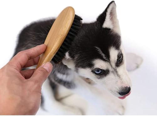 Pet Grooming Brush with Boar Bristles