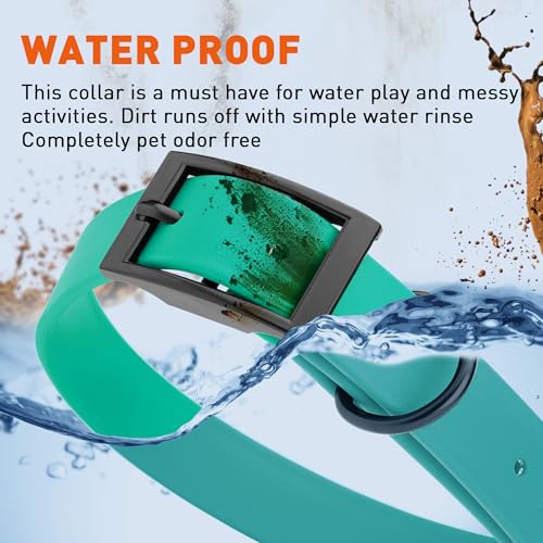 Biothane Waterproof Dog Collar Strong Coated Nylon Webbing with Black Hardware Odor (W1" x L22"-25" / Teal)