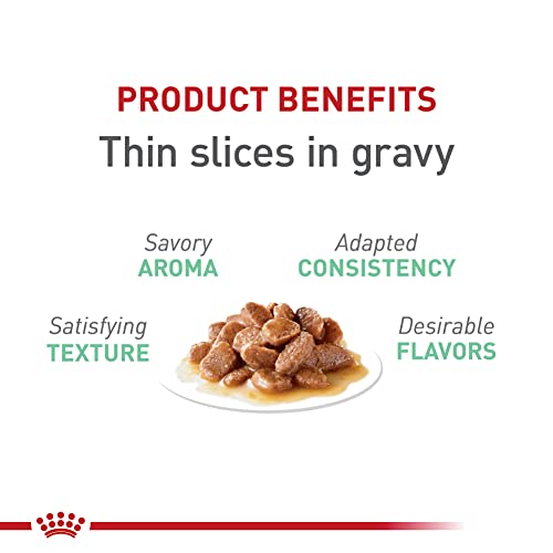 Feline Care Nutrition Digestive Care Adult Thin Slices in Gravy Cat Food (5.1 Ounce (Pack of 24) / Thin Slices in Gravy)