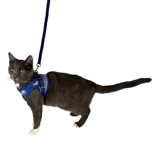 Travel Cat Harness and Leash Set (Small / Groovy Cat)