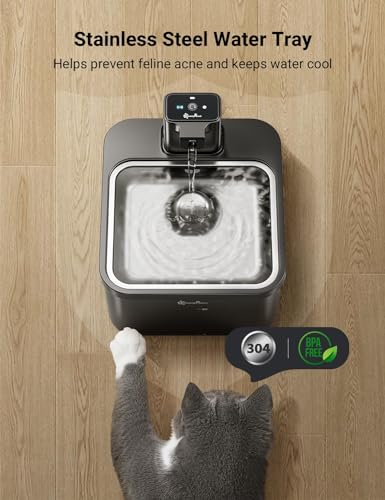 Cat Water Fountain Cordless (Black / Pro)