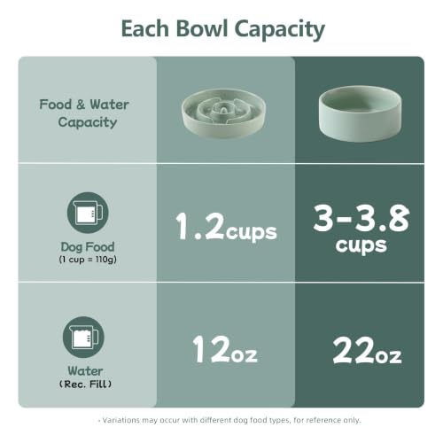 Elevated Slow Feeder Dog Bowls (Light Green)