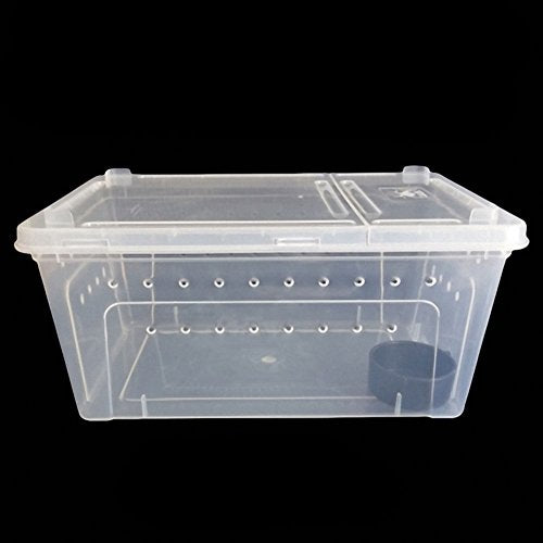 Portable Reptile Terrarium Habitat for Mini Pet Houses Breathable Holes Stackable Container (1PCS-Clear-M)