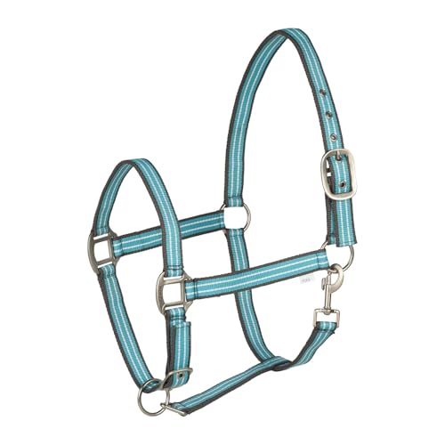 Adepto Adjustable Horse Halter (Canal Blue / Warmblood)