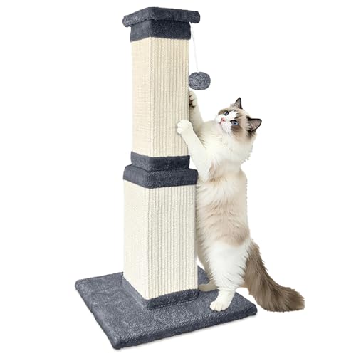 Cat Scratching Post for Indoor Cats (Deep Gray)