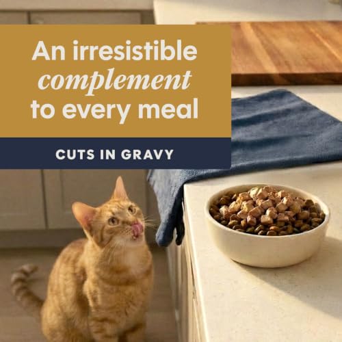 Healthy Cravings Wet Cat Toppers (3 Ounce (Pack of 24))
