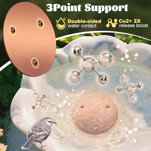 1 Pack Bird Bath Copper Disk (Copper/1PCS)