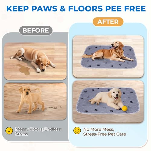 Reusable Puppy Pads (Gray / 18*24 Inch (Pack of 2))