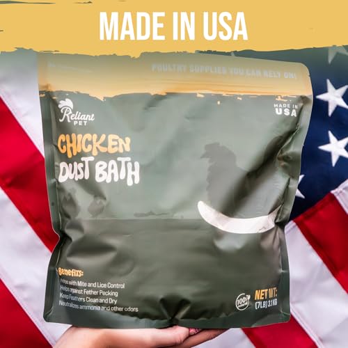 Chicken Dust Bath
