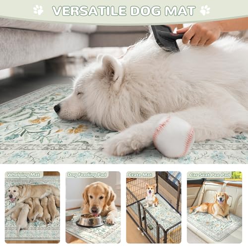 Botanical Washable Reusable Pee Pads for Dogs (Blue-02 / 3FT x 3FT (Pack of 2))