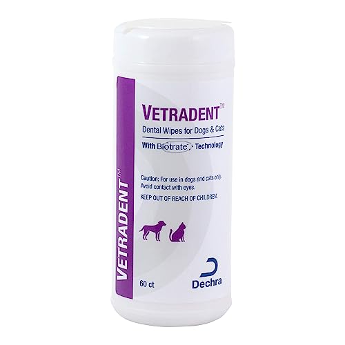 Dental Wipes 60 ct (60ct / White)