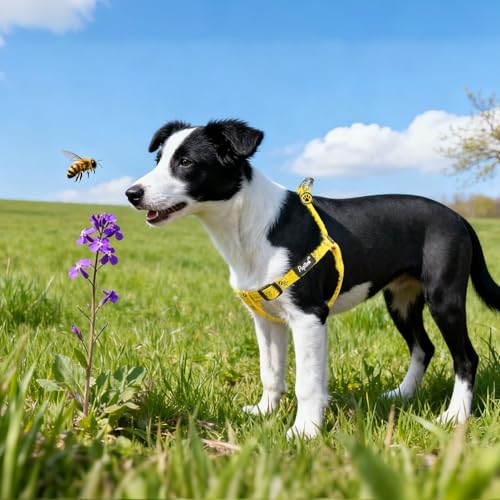 No Pull Dog Harness Large Sized Step (Yellow Bee / Large)