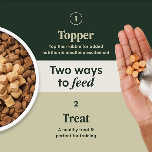 Raw Boost Mixers Freeze Dried Dog Food Toppers For Dry Food (12.5 Ounce (Pack of 1))
