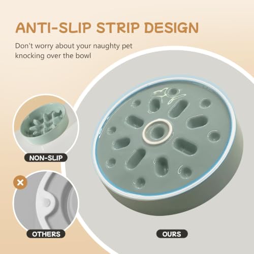 Elevated Slow Feeder Dog Bowls (Light Green)