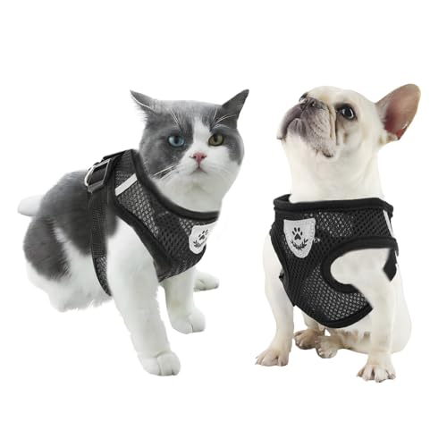 Cat Harness and Leash for Walking
