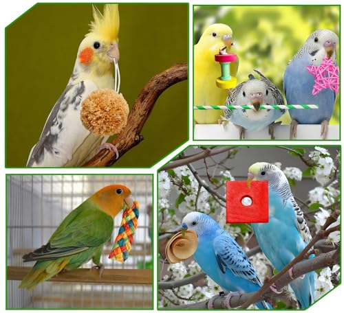 Bird Toys Colorful Birds Foraging & Shredded Toy Boxs