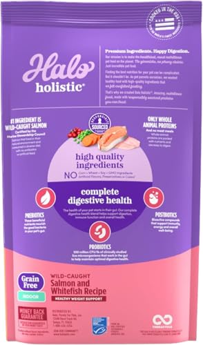 Holistic Indoor Dry Cat Food