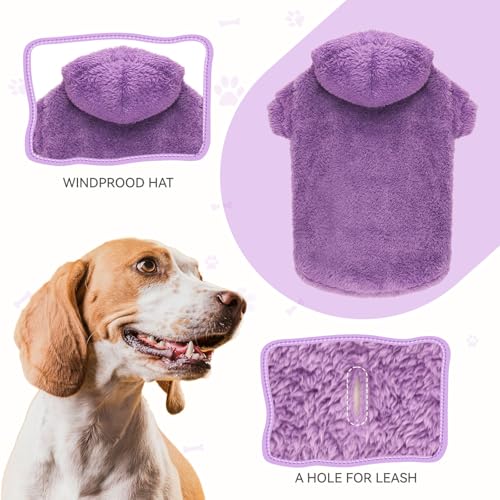 Fuzzy Dog Hoodie (X-Small / Purple)