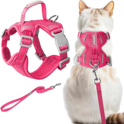 Cat Harness and Leash Set Escape Proof for Kitten Walking (Medium / Pink)