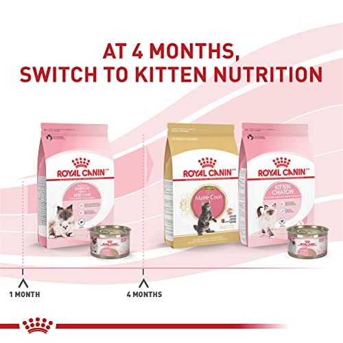 Feline Health Nutrition Mother & Babycat Queen Ultra Soft Mousse in Sauce Cat Food (5.1 Ounce (Pack of 24))