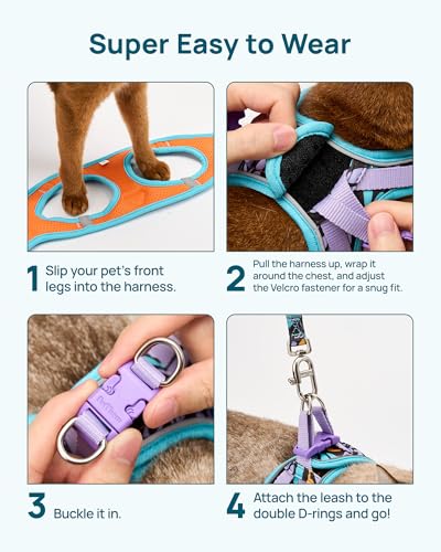 Upgraded Cat Harness and Leash Set (Blue Butterfly Magic / XS)