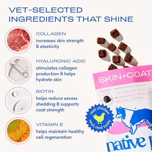 Skin & Coat Chews (60 Chews)